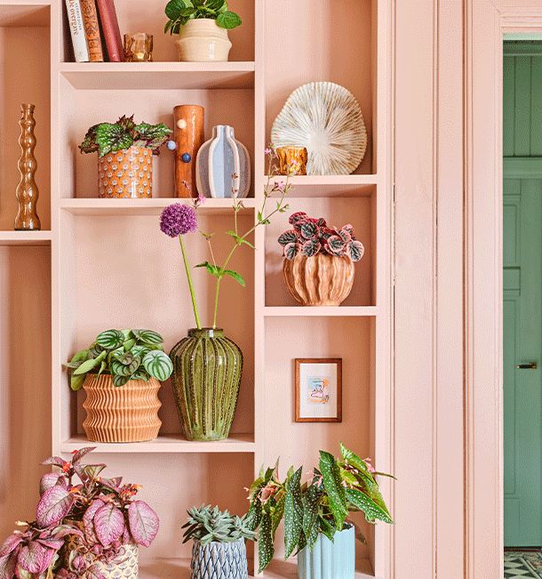 Les plantes : indispensables pour un effet jardin 🌿