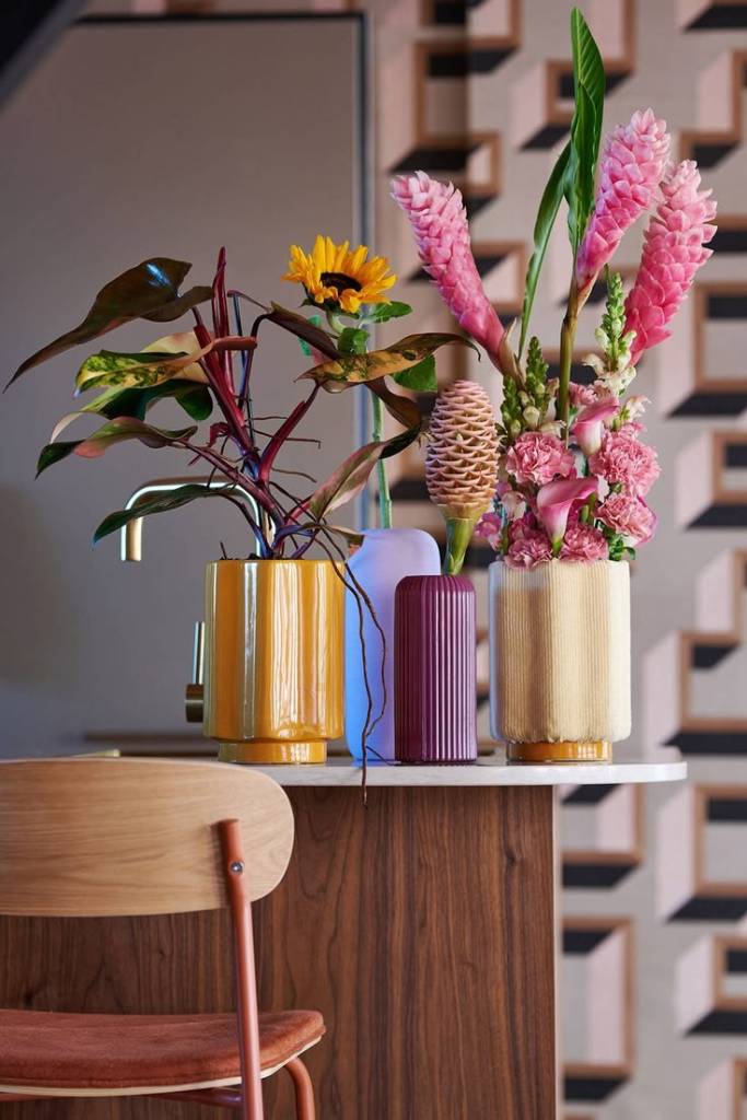 Les plantes : indispensables pour un effet jardin 🌿