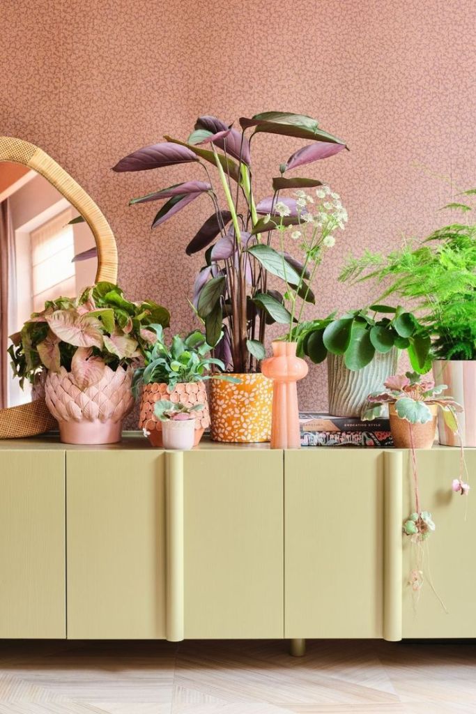 Les plantes : indispensables pour un effet jardin 🌿